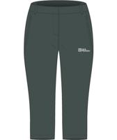 Jack wolfskin Hikeout Capri Dames Slate Green 44 R