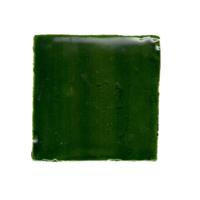 Terre d&apos;Azur Porto Tegel 10x10cm Groen F80 (Victorian Green)