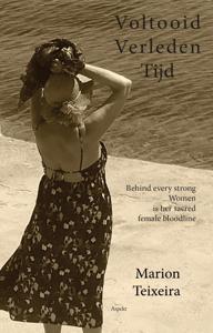 Voltooid verleden tijd (Paperback)