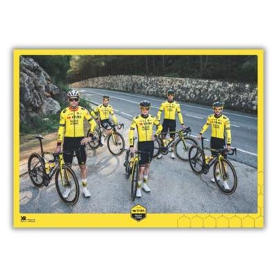 Team Visma | Lease a Bike