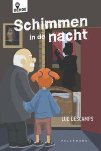 Schimmen in de nacht (Hardback)