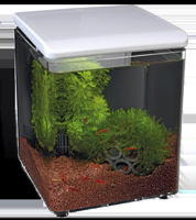 Superfish Home 8 wit