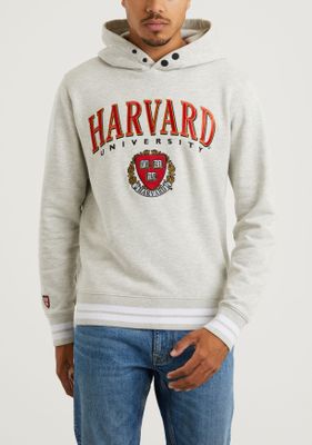 Harvard Harvard