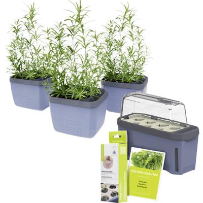 Gusta Garden Stadtkräutergarten-Set 6-teilig, blau HARRY HERBS / HERBS BUDDY / Zubehör / W07072 Plantcontainer