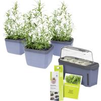 Gusta Garden Stadtkräutergarten-Set 6-teilig, blau HARRY HERBS / HERBS BUDDY / Zubehör / W07072 Plantcontainer