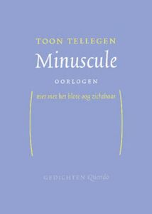 Minuscule oorlogen - Toon Tellegen - ebook