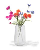 HEMA Vaas ⌀6.9x27cm glas transparant (transparant)