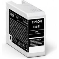 Epson UltraChrome Pro inktcartridge 1 stuk(s) Origineel Foto zwart - thumbnail