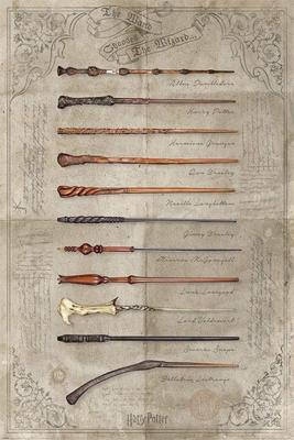 Poster Harry Potter The Wand Chooses the Wizard 61x91,5cm