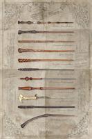 Poster Harry Potter The Wand Chooses the Wizard 61x91,5cm Poster Harry Potter The Wand Chooses the Wizard 61x91,5cm