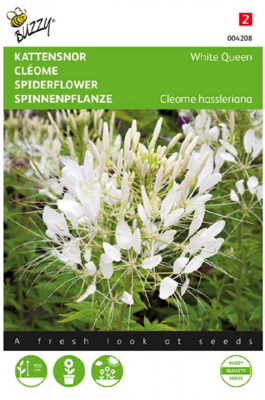 Zaden cleome kattensnor white queen 0.5 gram - Buzzy