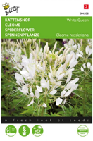 Zaden cleome kattensnor white queen 0.5 gram - Buzzy