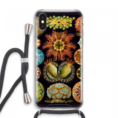 Haeckel Ascidiae: iPhone XS Max Transparant Hoesje met koord