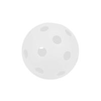 PICKLEBALL BALL SCHOOL