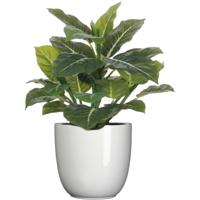 Mica Decorations Kunstplant groen - 49 cm - in bloempot - wit