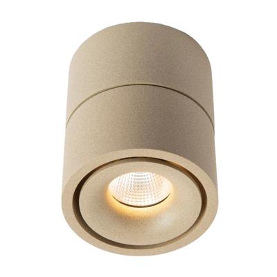 Ole 1 Opbouwspot Champagne