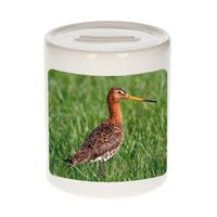 Dieren foto spaarpot grutto vogel 9 cm - vogels spaarpotten jongens en meisjes