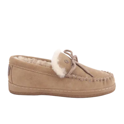 Warmbat Koala Pantoffels