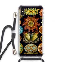 Haeckel Ascidiae: iPhone XS Transparant Hoesje met koord