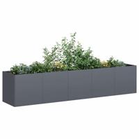 Plantenbak Antraciet 200x40x40 cm Koudgewalst Staal