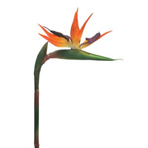 Kunstbloem Strelitzia/Paradijsvogelplant - 84 cm - losse steel - kunst zijdebloem