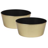 Othmar Decorations Plantenpot - 2x stuks - kunststof - goudkleurig - 24 x 10 cm - Bloemenbak - bloem