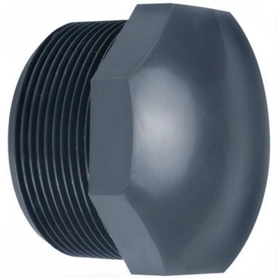 Aquaforte Stop Buitendraad 1 inch - Robuust PVC voor Waterdichte Vijververbindingen