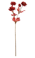 Helleborussteel l66 cm goud/rood - Jasaco