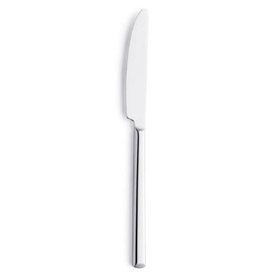 Messen Set Amefa Metropole Metaal 21 cm 12 Stuks