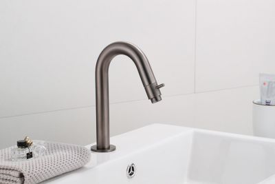 Fonteinkraan SaniClear Iron | Opbouw | Koudwater kraan | Standaard model | 1-knop | Rond | Verouderd ijzer - Gunmetal