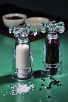 Zoutmolen - BISETTI - SAVONA - 17,5 cm - Acryl