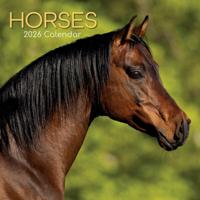 Paarden Kalender 2026