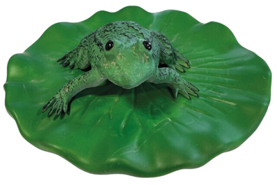 Superfish Drijvende kikker