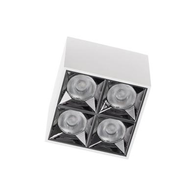Lyora Witte opbouwspotMidi Led 2x2 leds - 4000K - 10051