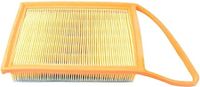 Luchtfilter BSG70135009