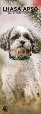 Lhasa Apso Slimline Kalender 2026