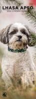 Lhasa Apso Slimline Kalender 2026