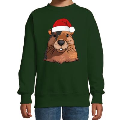 Kersttrui / sweater familie Bever - kinderen - dieren - groen - kerstmuts - Kerstmis