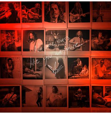 Chris Cornell - No One Sings Like You Anymore (LP) Chris Cornell - No One Sings Like You Anymore (LP)