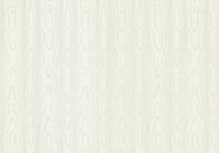 Dutch FC New Tekko schors wit - 20034