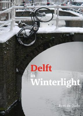 Delft in Winterlight (Hardback)