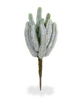 Euphorbia kunst Cactus 25cm - grijs Euphorbia kunst Cactus 25cm - grijs