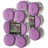 Geur theelichtjes/waxinelichtjes - Maxi - 24x - Lavender aroma - 8 branduren