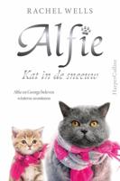 Kat in de sneeuw (Paperback)