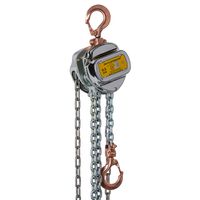 Delta Vonkvrije handkettingtakel | ATEX zone 2 | 6 m | 3 ton - DC.0.06603006 DC.0.06603006