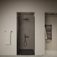 Douchedeur | Nisdeur | Marip | 6 mm | 90x190 cm | Zwart Boss & Wessing