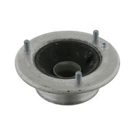 Veerpootvoering 12519