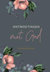 Ontmoetingen met God (Hardback)