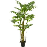 Philodendron plant h195cm groen - Emerald