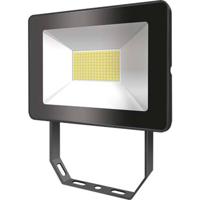 ESYLUX OFLBASICLED30W 4K BK EL10810701 LED-buitenschijnwerper 30 W Wit